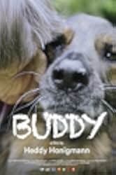 Buddy 2019