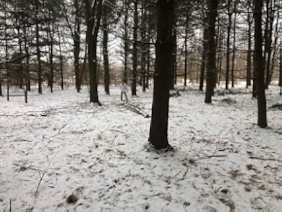 Wu Xia 2 the Code 2019