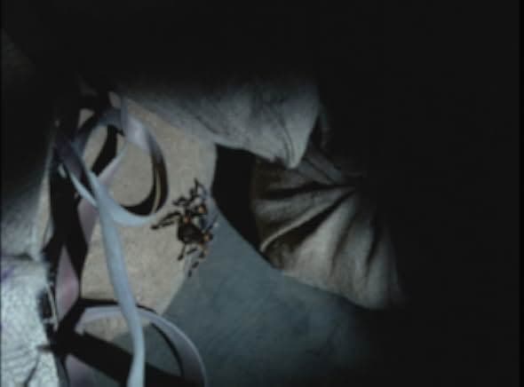 Tarantulas: The Deadly Cargo 1977