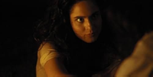 The Illustrator 2020