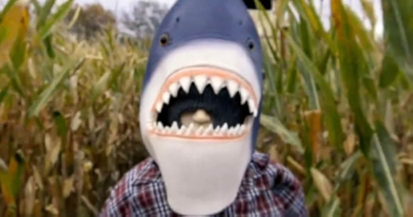 Sharks of the Corn