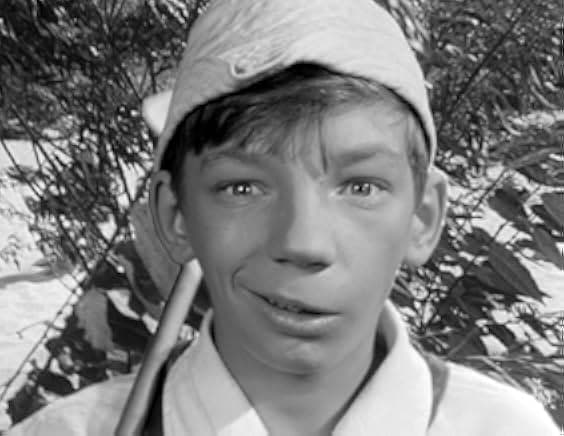 Welcome, or No Trespassing 1964