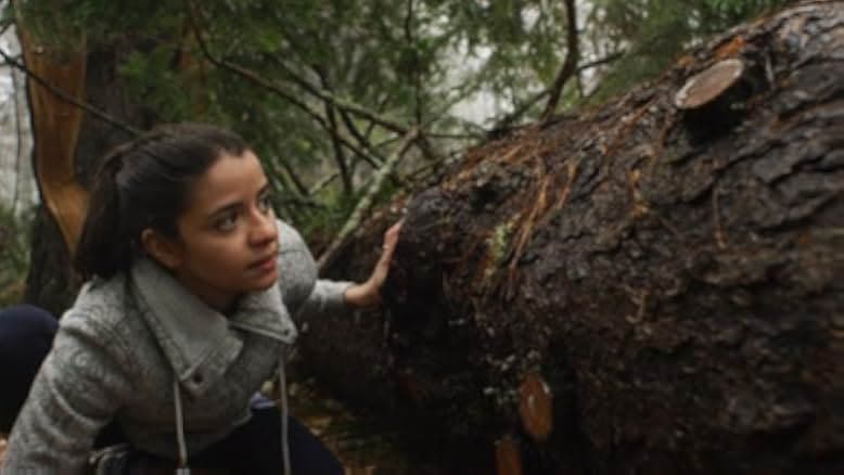 The Killers Next Door 2023