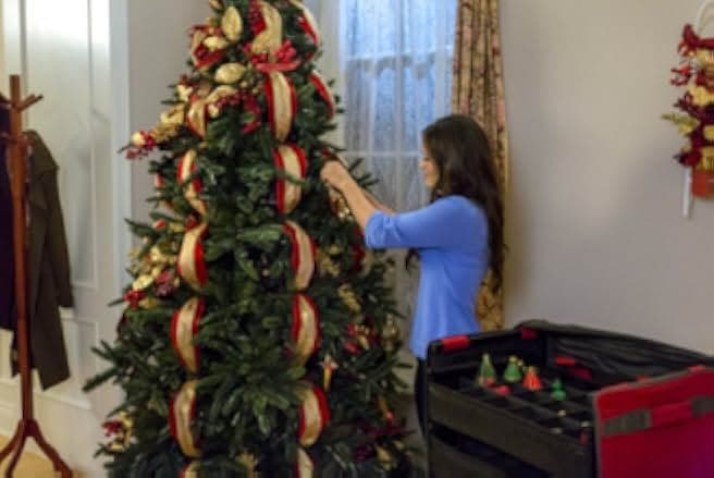 Coming Home for Christmas 2017