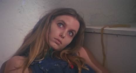 The Heroin Busters 1977