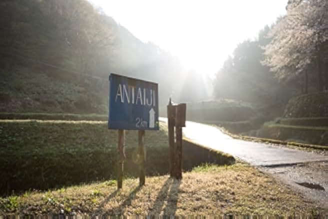 Zen for Nothing 2016