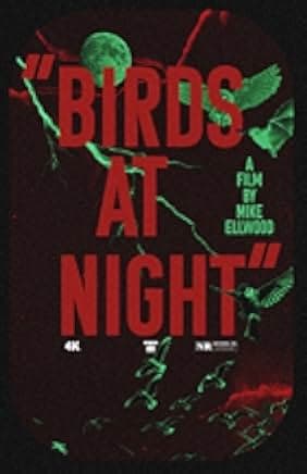 Birds at Night 2023