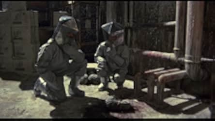 Contamination 1982
