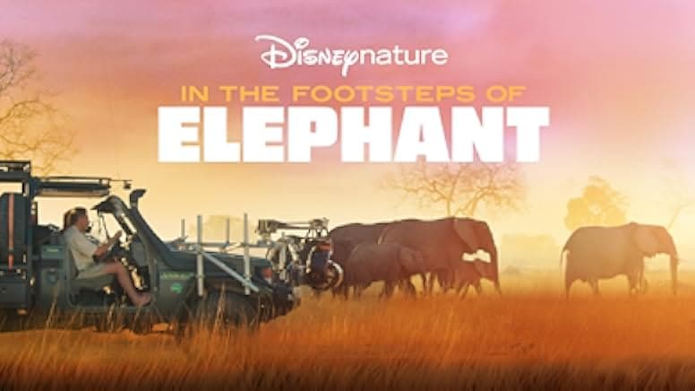 In the Footsteps of Elephant 2020