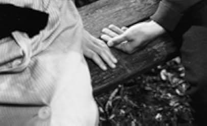 Au Hasard Balthazar 1966