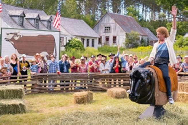 Les Tuche 2: The American Dream 2016