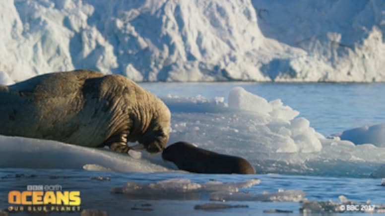 Oceans: Our Blue Planet 2012