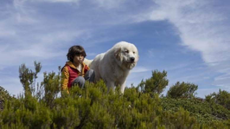 Belle et Sébastien: Nouvelle génération 2022