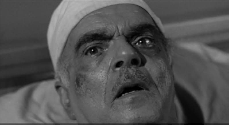 The Wasp Woman 1959