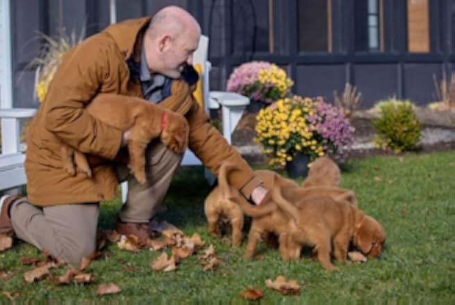 Everything Puppies 2024