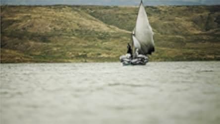 Death by a Thousand Cuts 2016