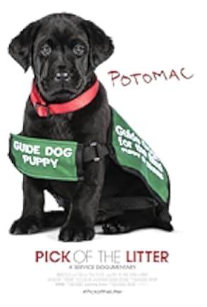 Pick of the Litter 2018