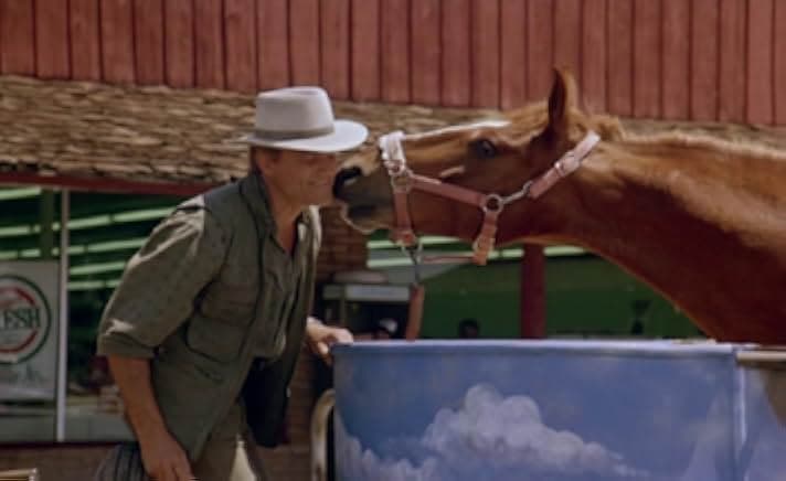 They Call Me Renegade 1987