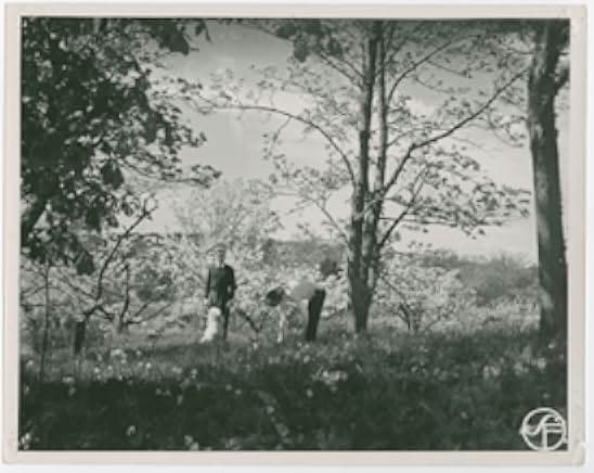 Summer Interlude 1951