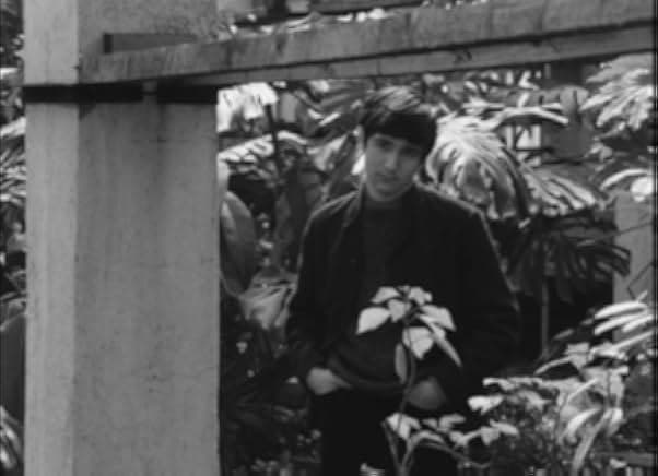 The Long Farewell 1971