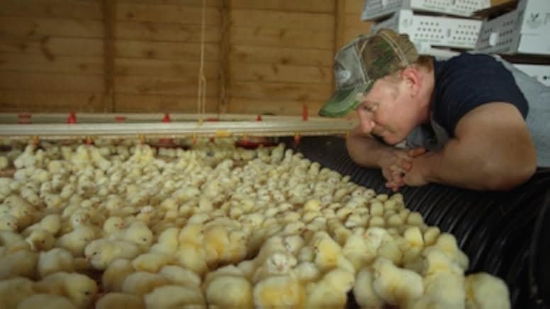 Super Size Me 2: Holy Chicken! 2017