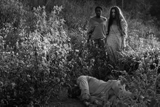Vazante 2017