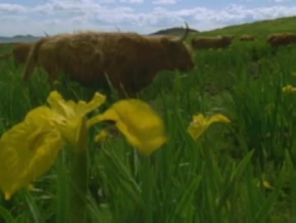 The Blue Planet 2002