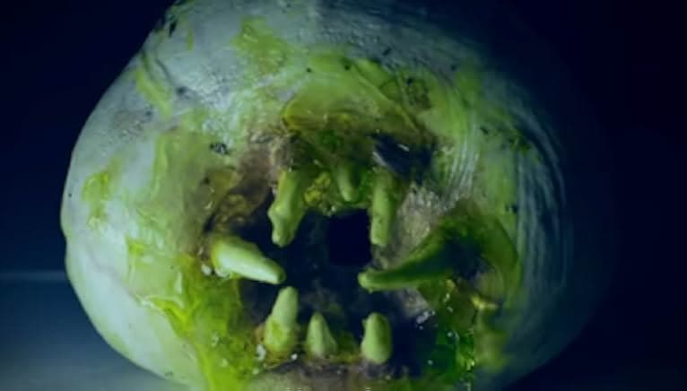 Attack of the Killer Donuts 2016